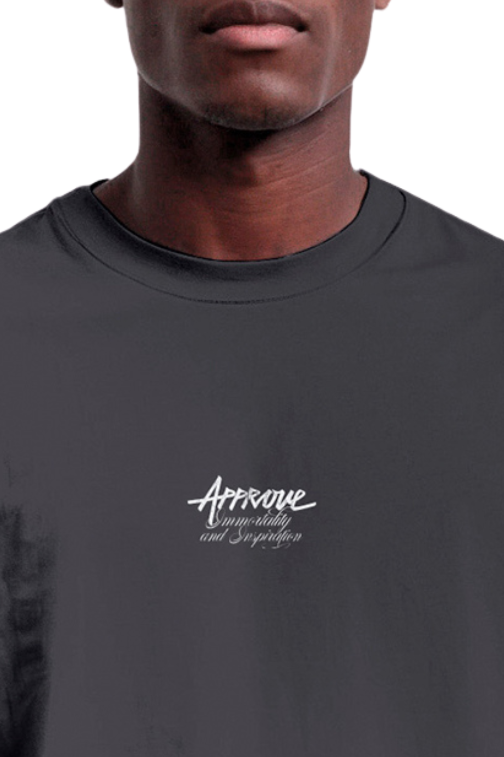 CAMISETA APPROVE BOLD PEGASUS APP7806 CINZA