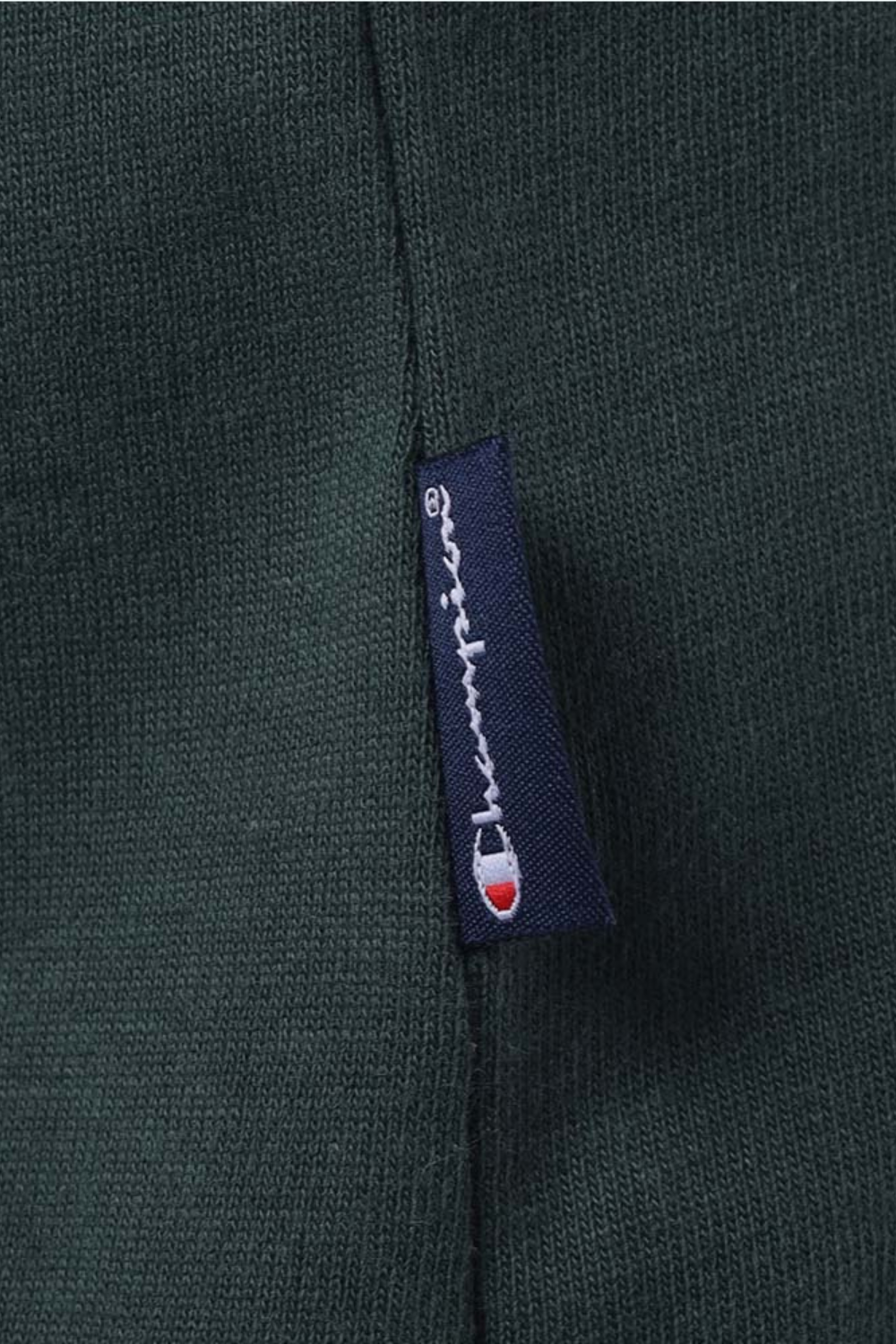 CAMISETA CHAMPION OVERSIZED MINI SCRIPT SURTON