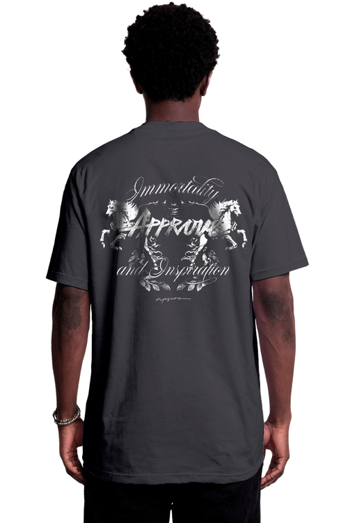 CAMISETA APPROVE BOLD PEGASUS APP7806 CINZA