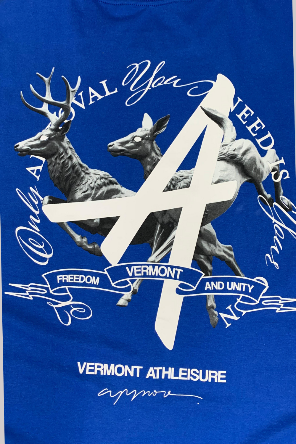 CAMISETA APPROVE HUGE VERMONT