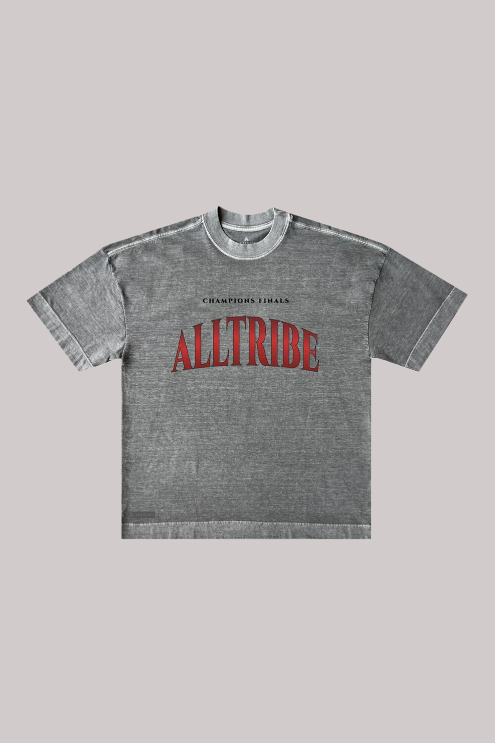CAMISETA ALLTRIBE OVERSIZED CHAMPIONS-NEW MONEY