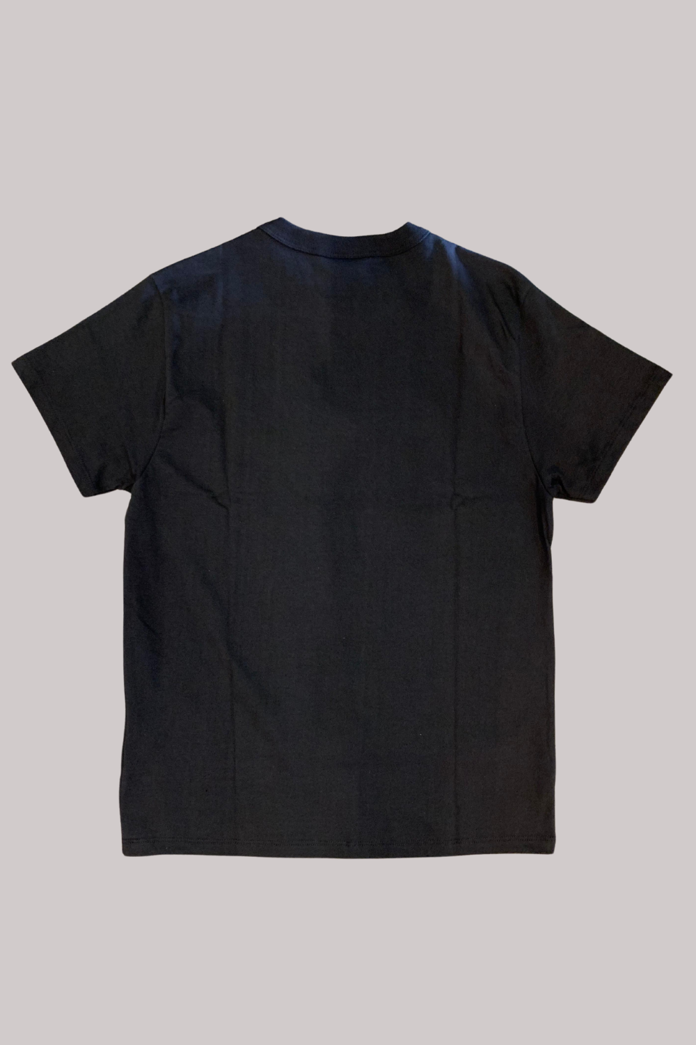 CAMISETA CHAMPION BORDADO EVA TECIDO MEIA MALHA GROSSO