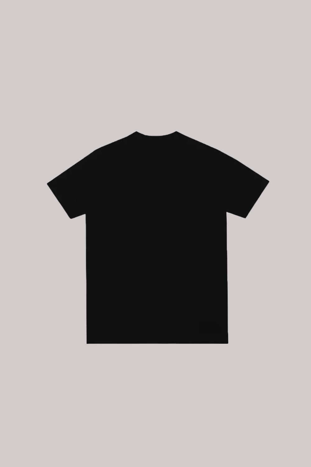 CAMISETA ALLTRIBE CLASSY