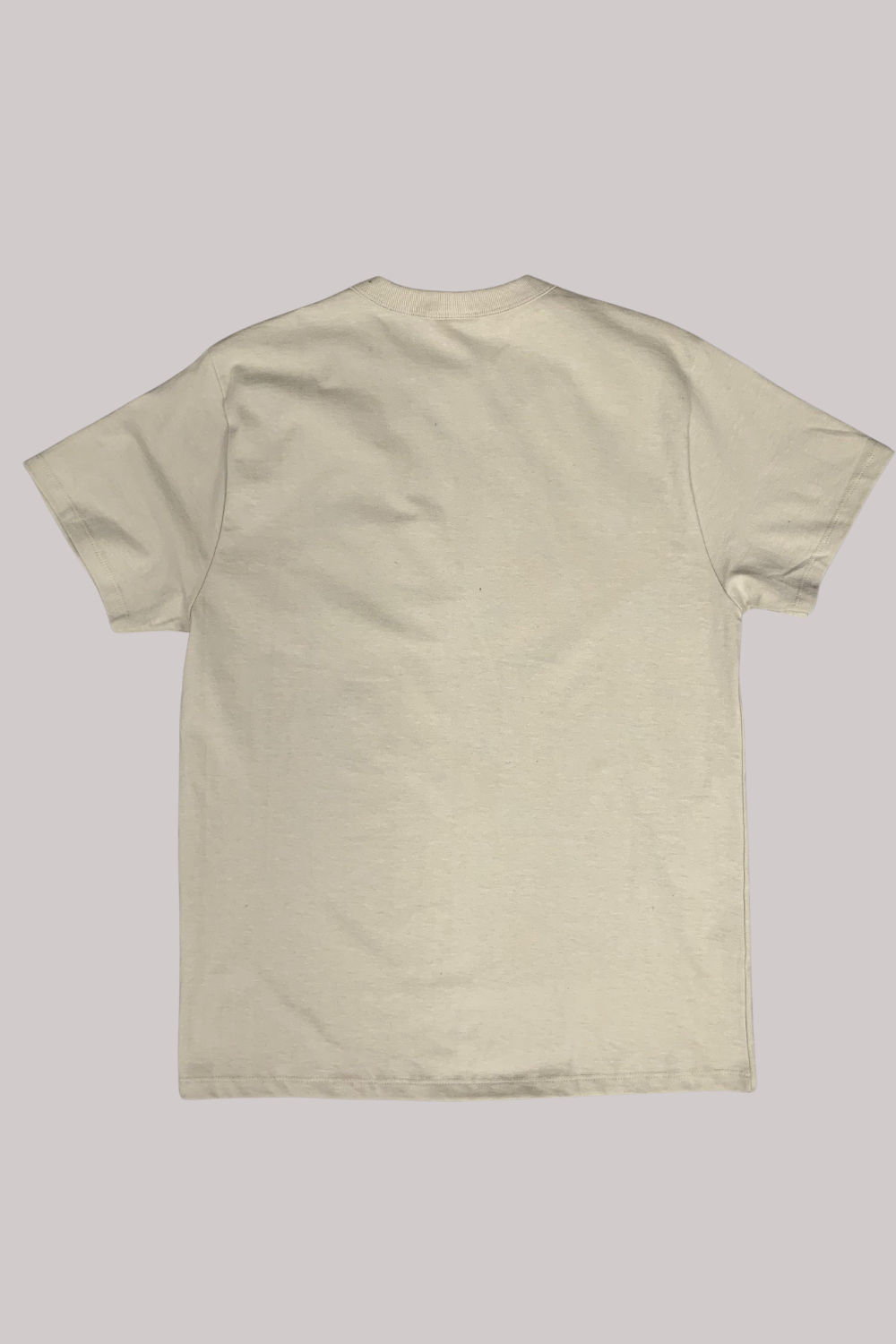 CAMISETA CHAMPION PES MC LOGO C EMBROIDERY