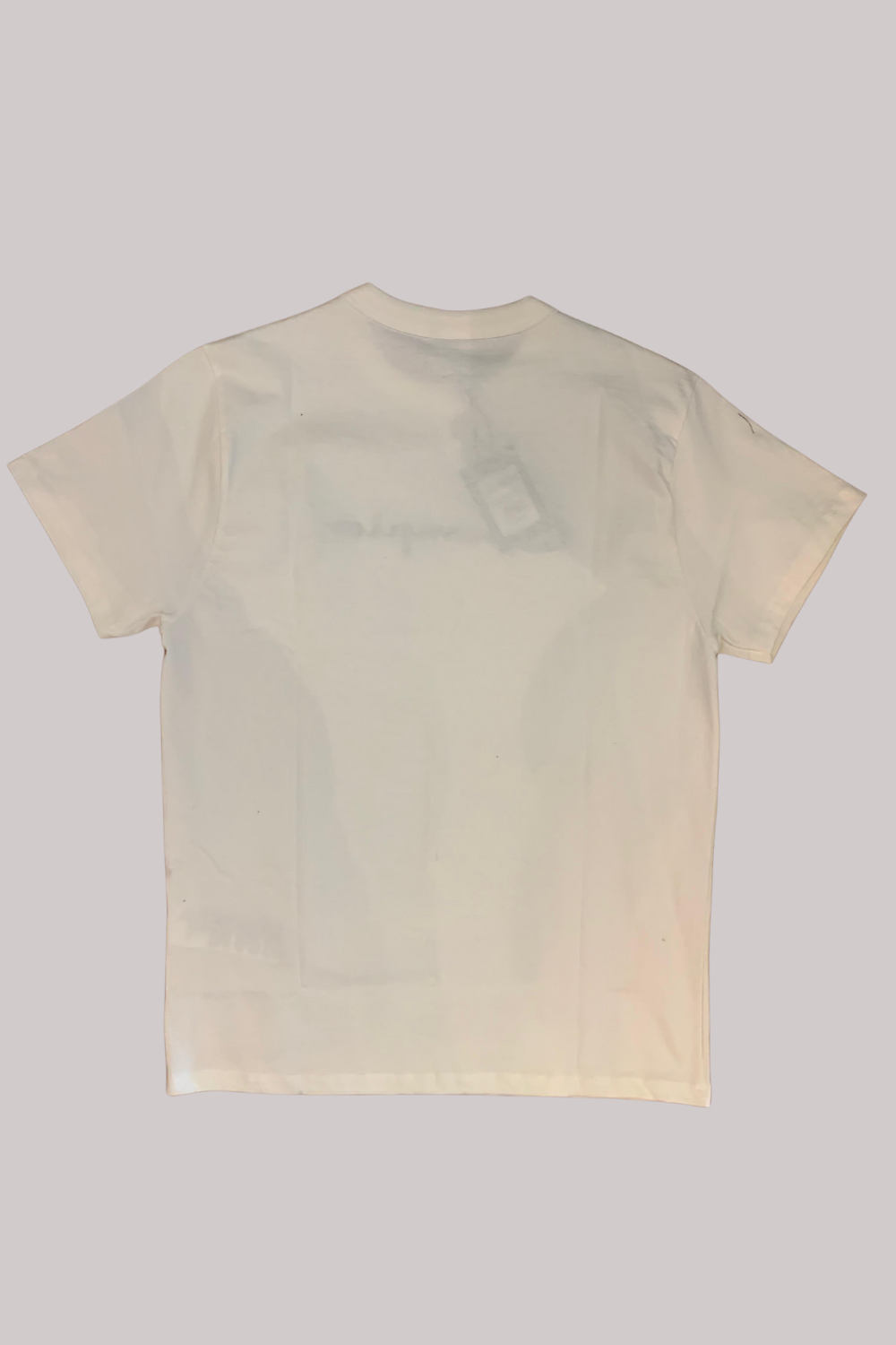 CAMISETA CHAMPION BORDADO EVA TECIDO MEIA MALHA GROSSO