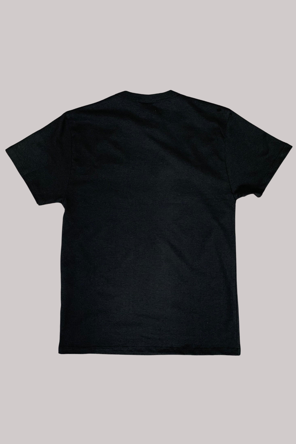 CAMISETA CHAMPION EMBOSSING MALHÃO