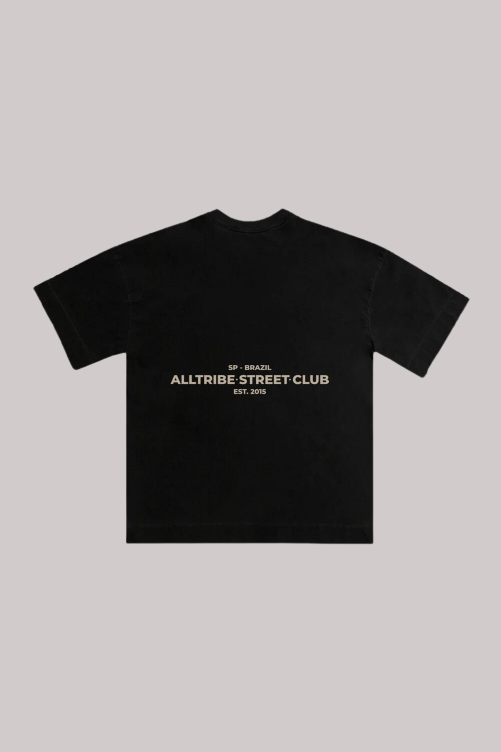 CAMISETA ALLTRIBE OVERSIZED STREET CLUB BASIC LINE