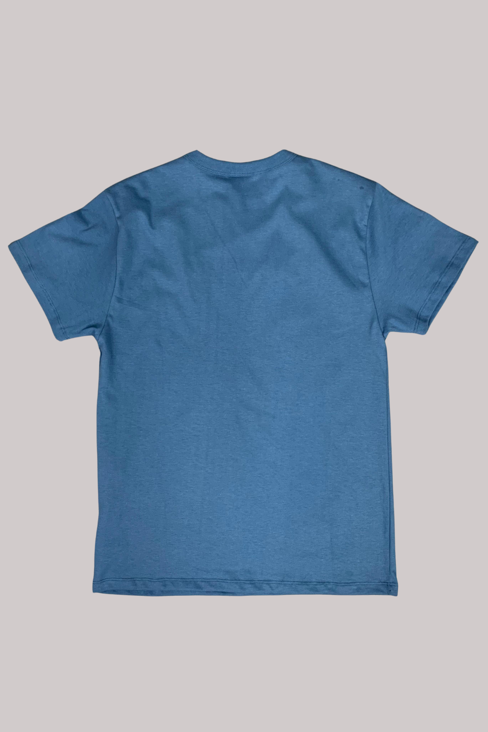 CAMISETA CHAMPION EMBOSSING MALHÃO