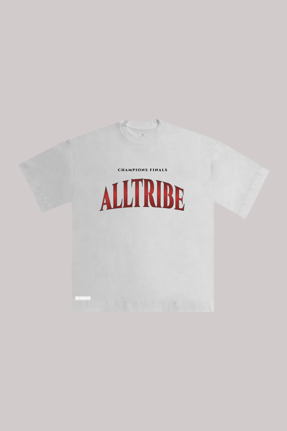 CAMISETA ALLTRIBE OVERSIZED CHAMPIONS-NEW MONEY
